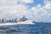 GIF by FYI Yachts