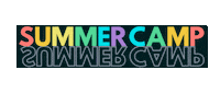 ACANYNJ summer camp aca 10for2 american camp association Sticker