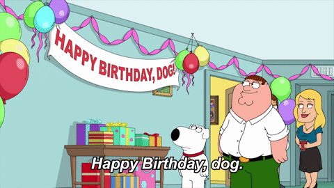 Dog Birthday GIF by Family Guy