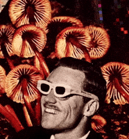 Sunglasses Smile GIF