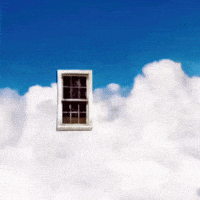 Avl GIF