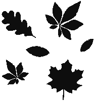 Autumn Leaves Sticker by Marcopoloau