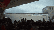 GIF by Alex Boya