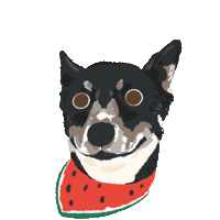 Dog Taiwan Sticker
