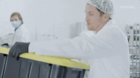 viceland GIF by WEEDIQUETTE