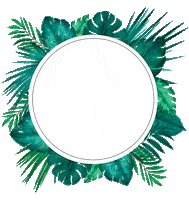 ecolifejeans moda ecolife ecolife jeans jeans ecolife Sticker