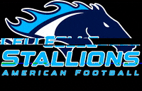 cellestallions american football celle celle stallions GIF