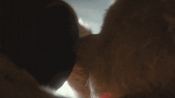 winnie the pooh GIF by Walt Disney Studios