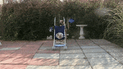 GIF by Digg