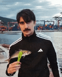 Komik GIF