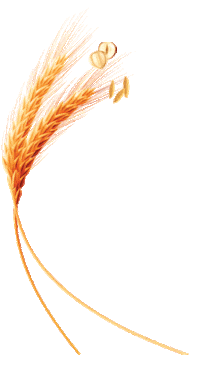 Wheat Sticker by Brownberry Bread