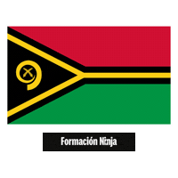 Flag Pixel Art Sticker by Formación Ninja
