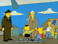 Season 1 GIF by The Simpsons