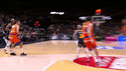 Liga Endesa Basketball GIF by ACB