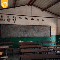 School Education GIF by World Bank