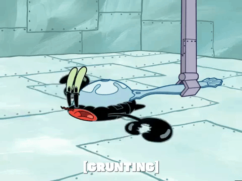 season 6 patty caper GIF by SpongeBob SquarePants