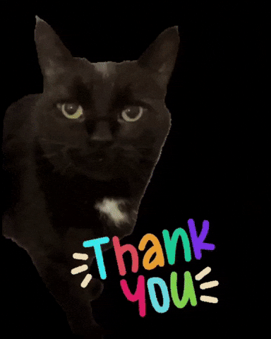 Black Cat Thank You GIF