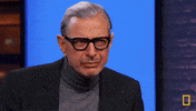 Tell Me More Jeff Goldblum GIF by National Geographic Channel