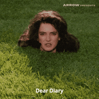 High School Film GIF by Arrow Video