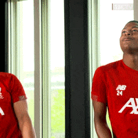 Premier League Lol GIF by Liverpool FC