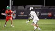 Top Shelf Celebration GIF by Premier Lacrosse League