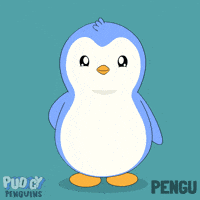 Collect Trading Cards GIF by Pudgy Penguins