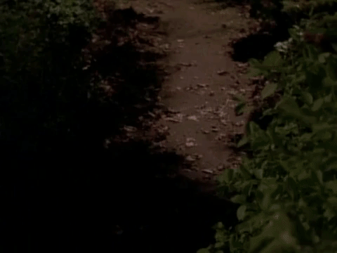 nickrewind giphydvr nicksplat are you afraid of the dark the tale of the lonely ghost GIF