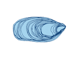 Beach Sea Sticker by bartacolife