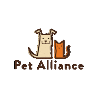 Orlando Pago Sticker by Pet Alliance
