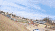 Student Broadcasting GIF by Western Illinois University