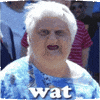 wat GIF