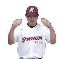 Foolish Sticker by Kiwoom Heroes Baseball Club