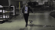 ice hockey dog GIF by NHL