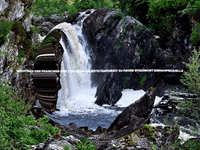 Happy Laugh GIF by FranchiseONE.de