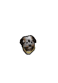 Winston Pops Sticker by Andrew torralvo