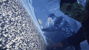 Season Of The Witch Halloween GIF by CALABRESE