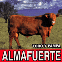 Ricardo Iorio Almafuerte GIF