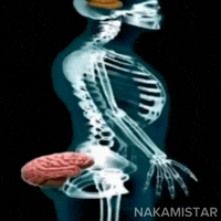 Brain Fool GIF