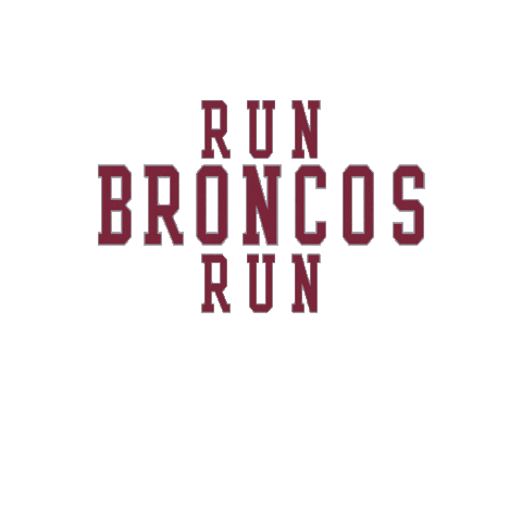 Go Broncos Sticker by Santa Clara Broncos