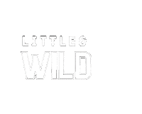 Little And Wild Sticker by Fivelittlewildlings