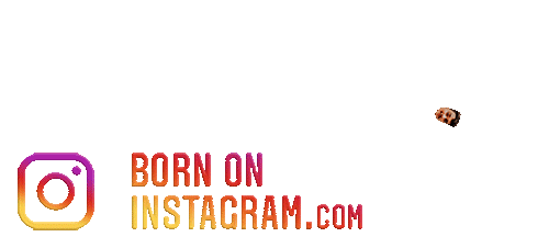 Himanshu1379Boi Sticker by BORN ON INSTAGRAM