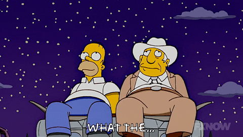Episode 11 The Rich Texan GIF by The Simpsons