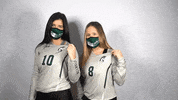 Iwutitans Tgoe GIF by iwusports