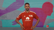 Union Berlin Football GIF by Bundesliga