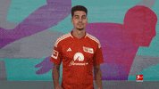 Union Berlin Football GIF by Bundesliga