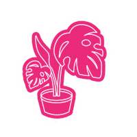 Mostera Sticker