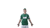 Tor Sticker by VfB Lübeck