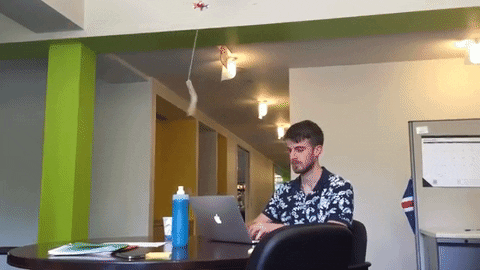 coworker GIF