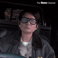 Reno 911 GIF by The Roku Channel