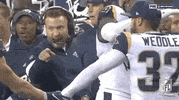 Regular Season Football GIF by NFL